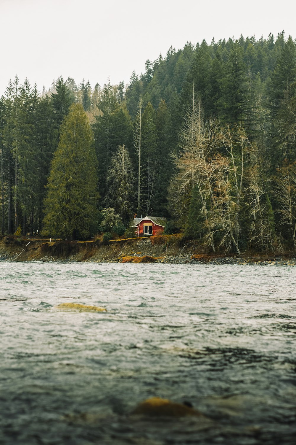 Ein Haus auf einer kleinen Insel inmitten eines Sees