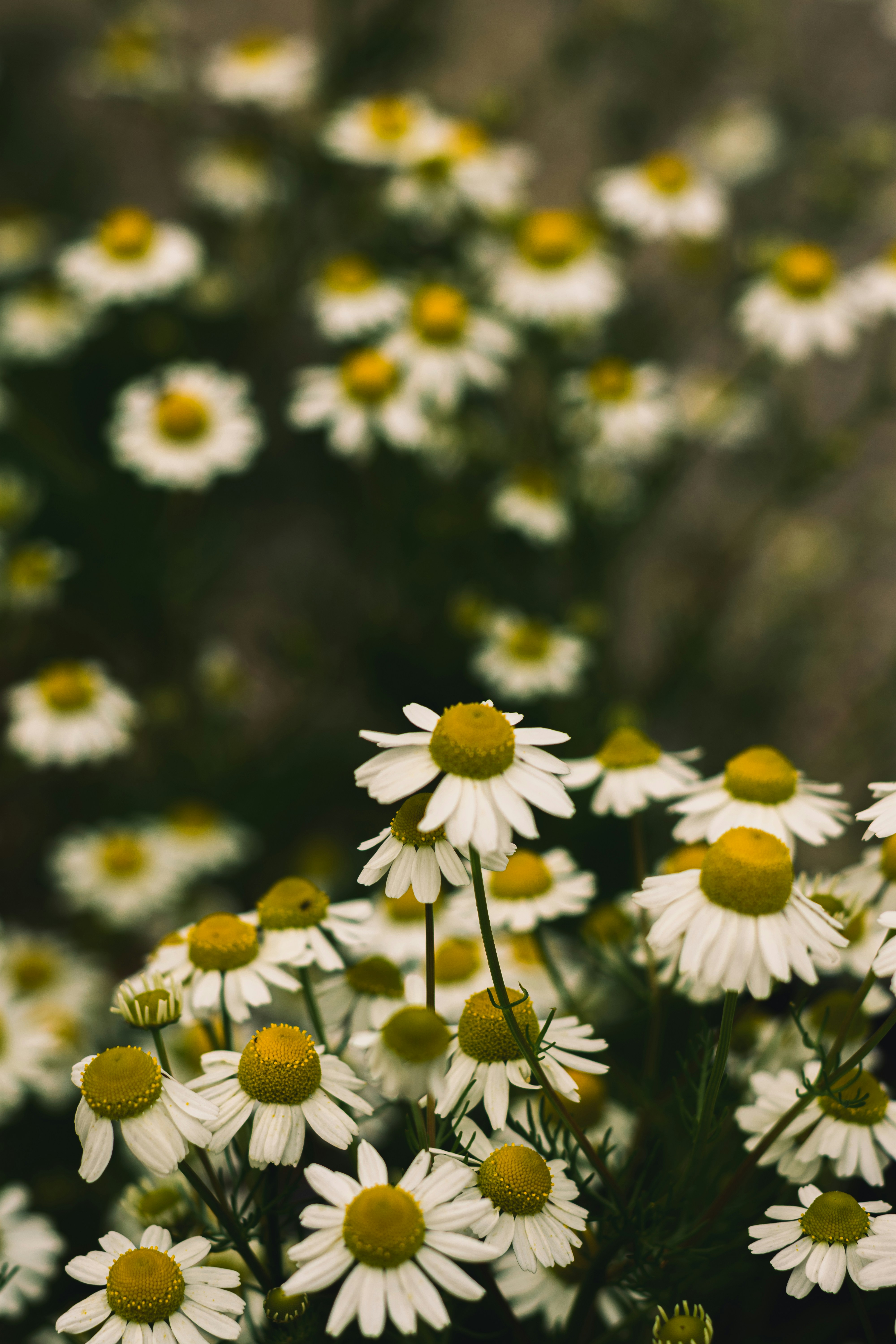 Photo by thatkidpayt