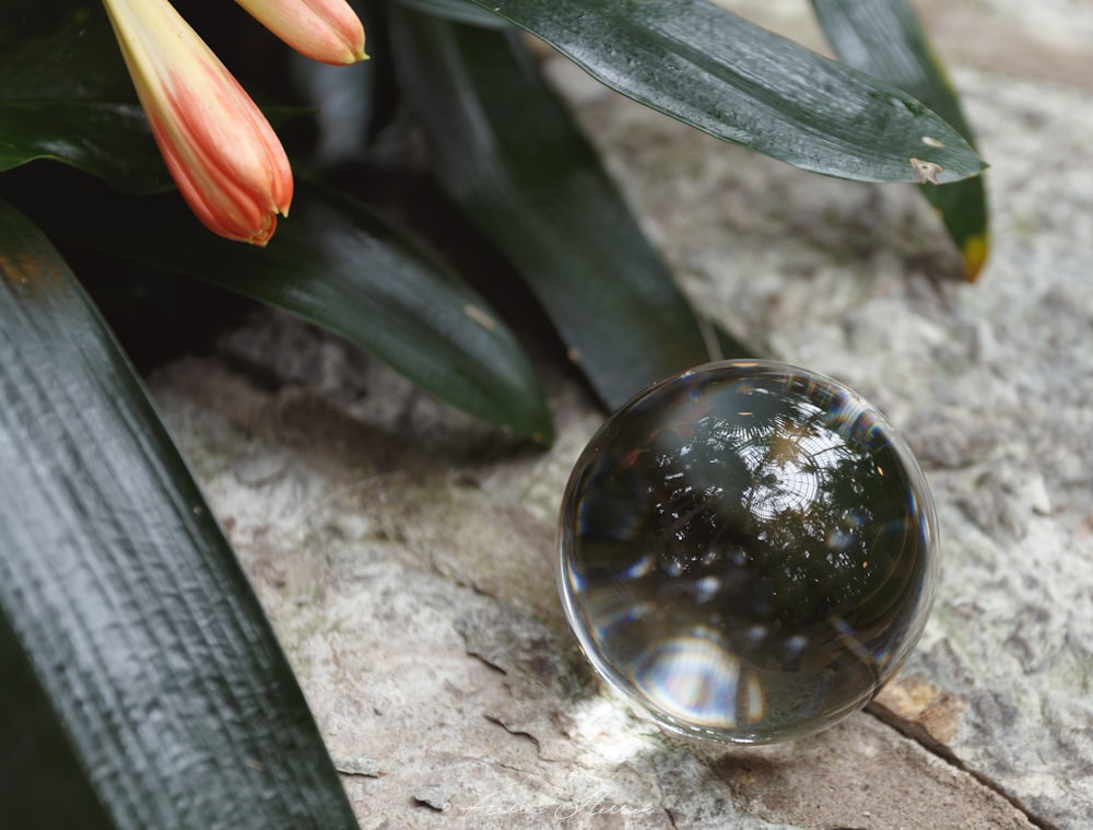 a glass ball sitting on top of a rock