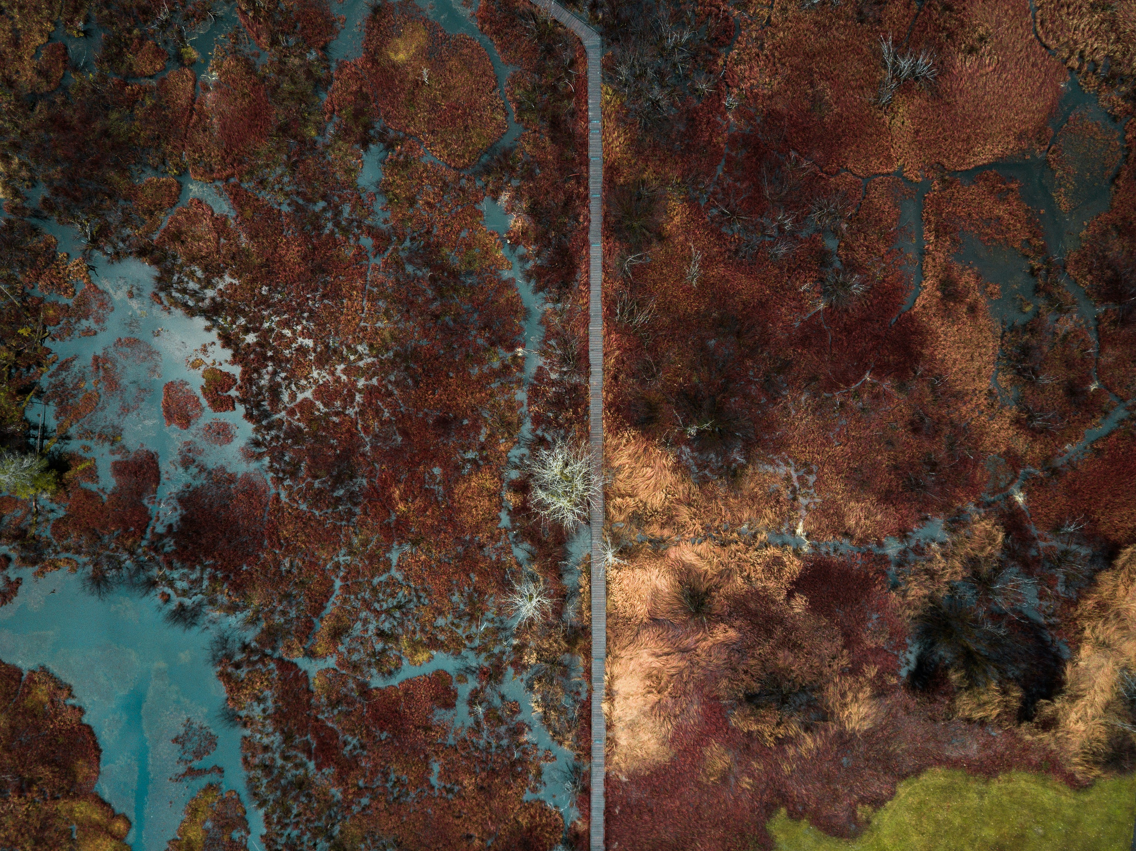 Photo by thatkidpayt