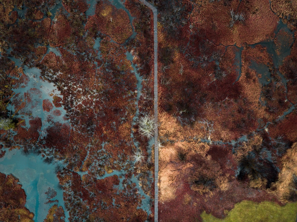 an aerial view of a body of water surrounded by trees