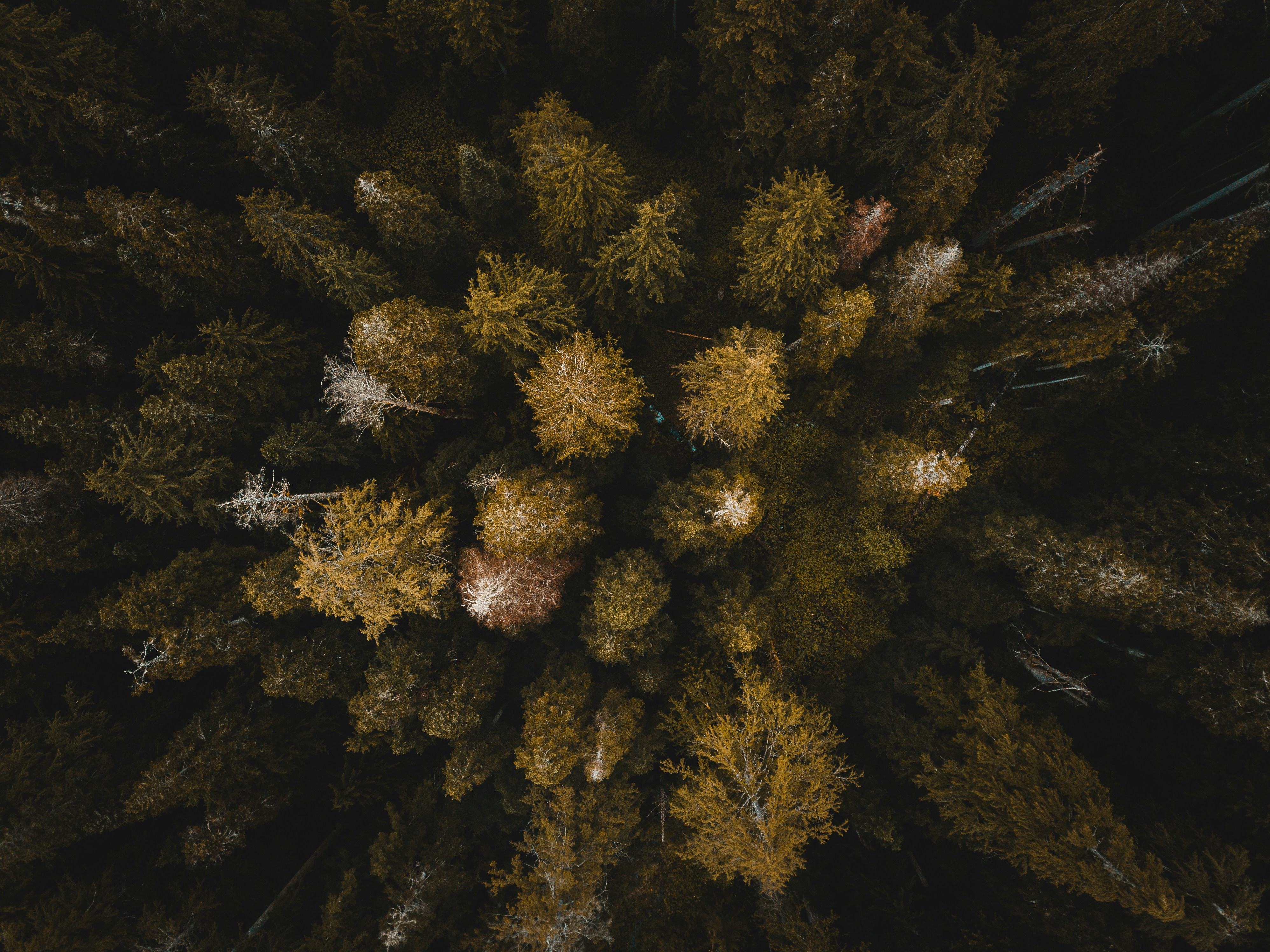 Photo by thatkidpayt