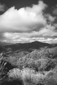 A black and white photograph of a scenic mountainous landscape. The foreground features tall grass and lush trees, while the middle ground consists of rolling hills covered with dense forest. Large, dramatic clouds dominate the sky, adding depth and contrast to the scene.