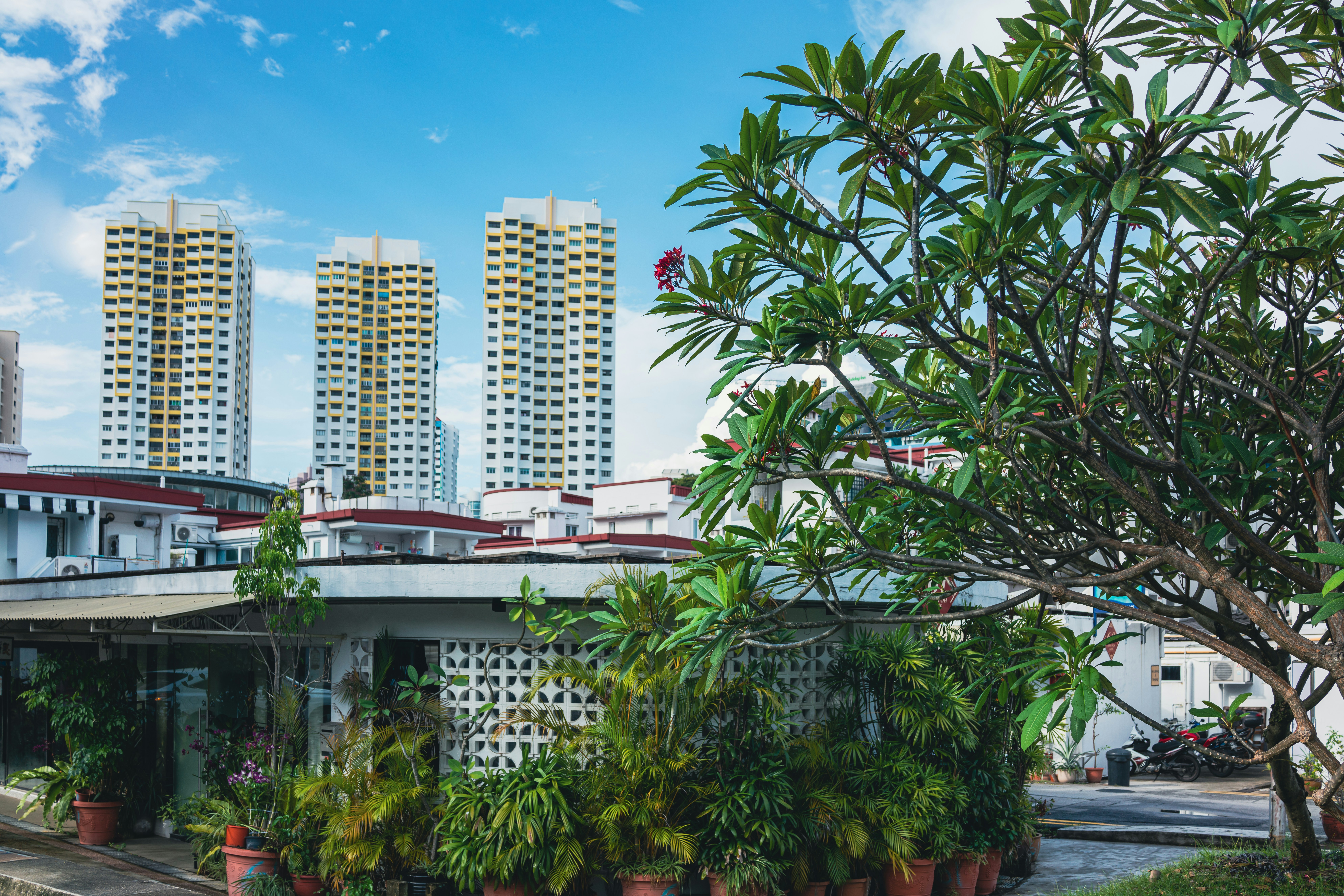 Photo by galen_crout