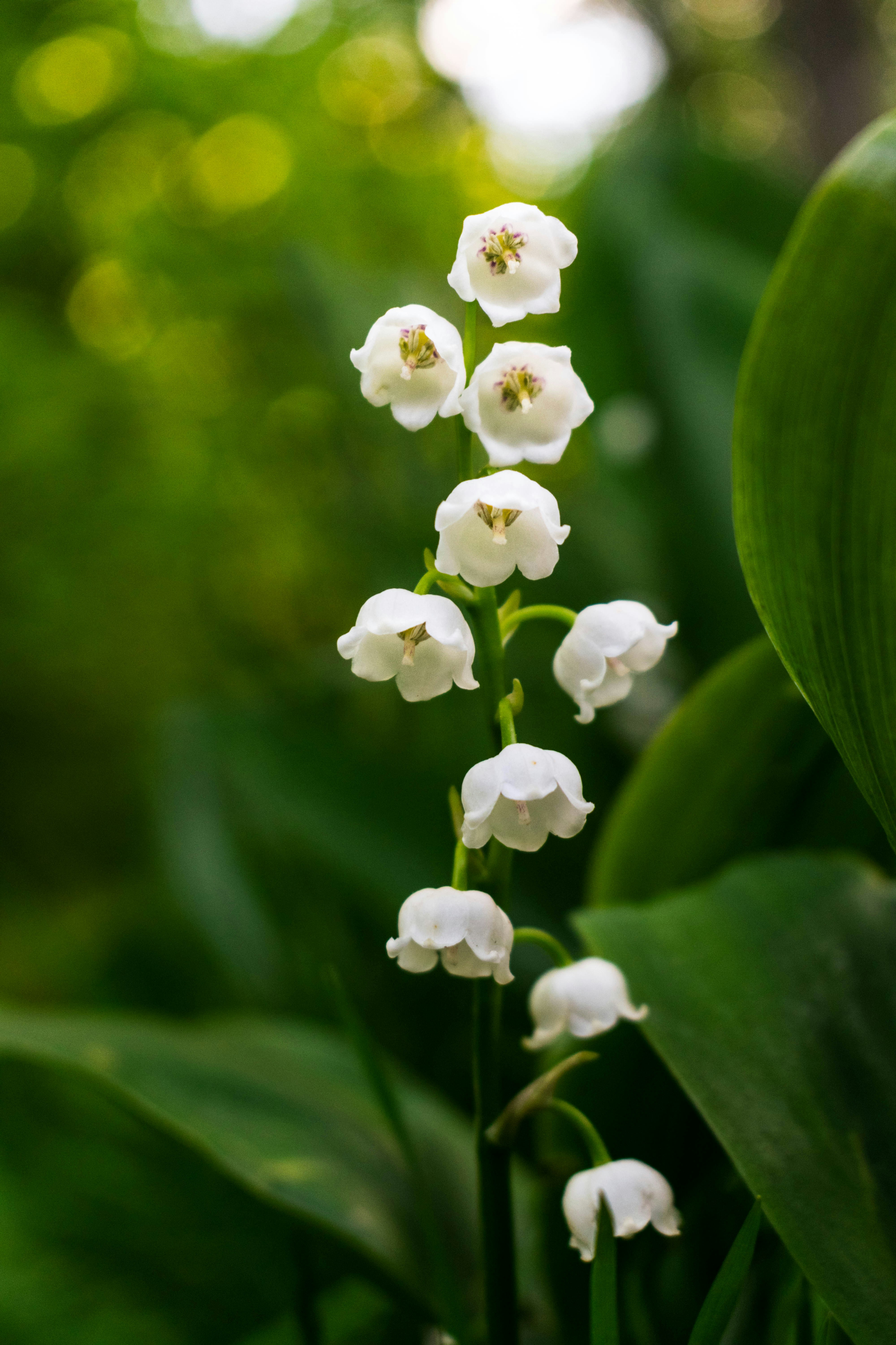 Photo by jey_photography