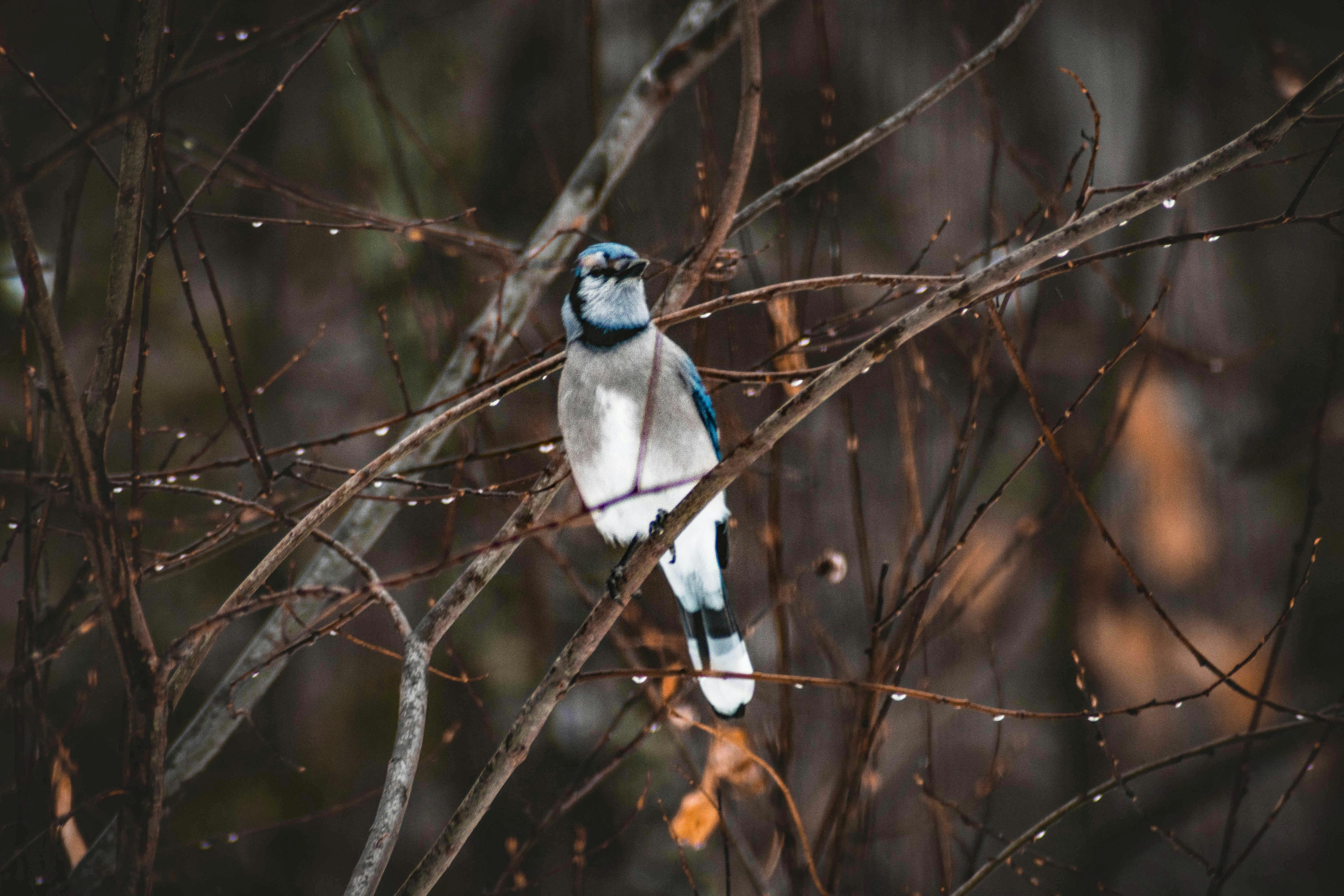 Photo by jey_photography