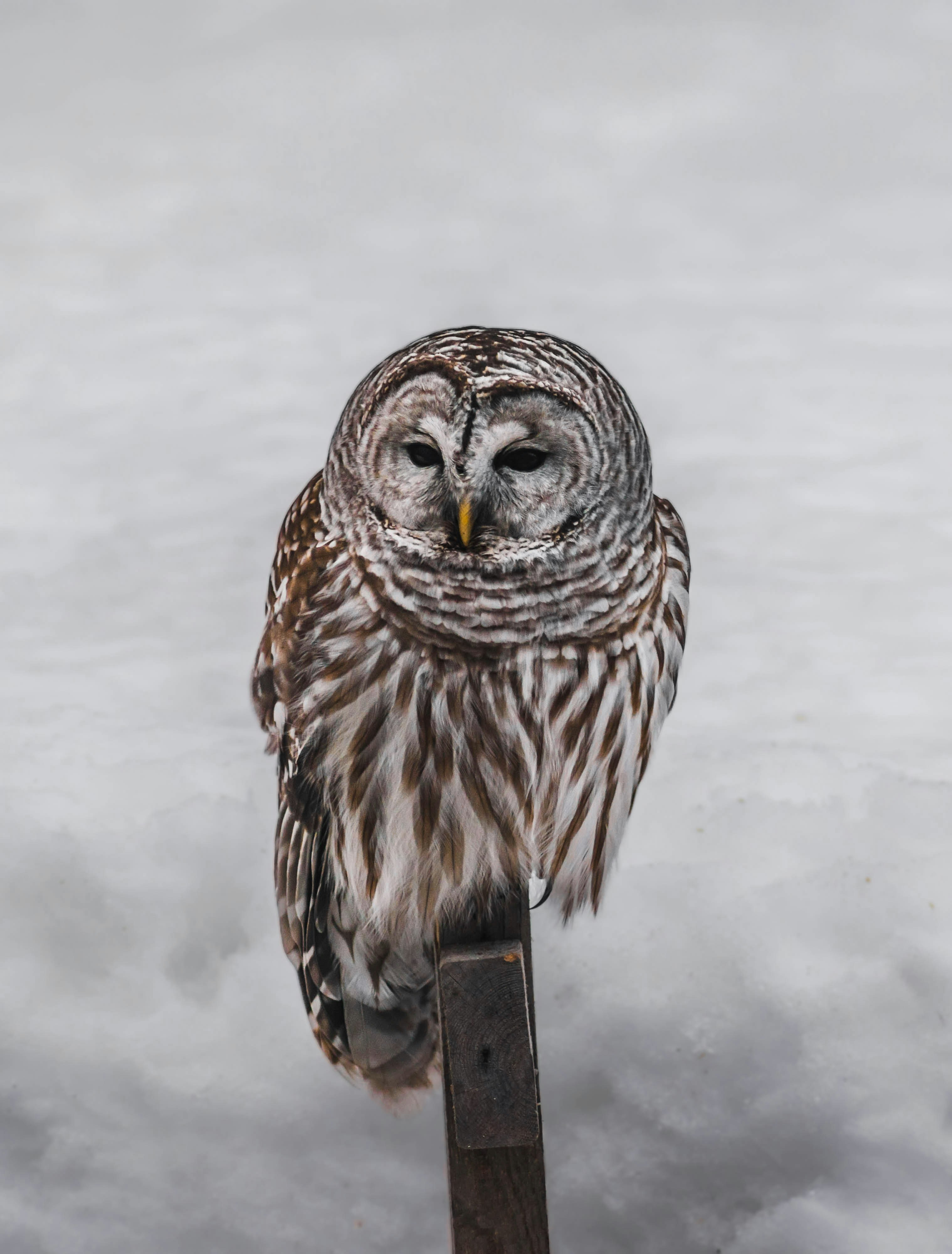 Photo by jey_photography