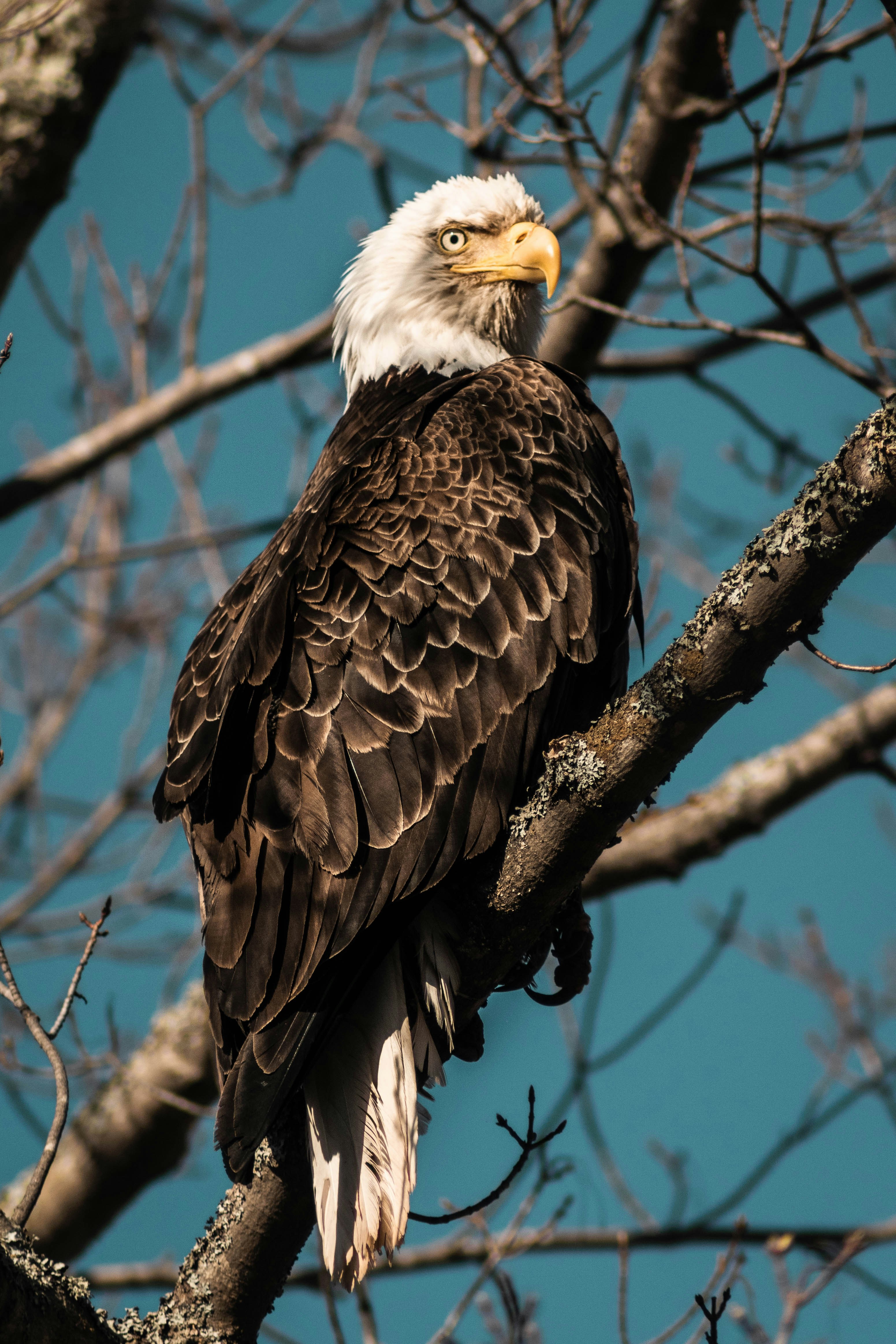 Photo by jey_photography