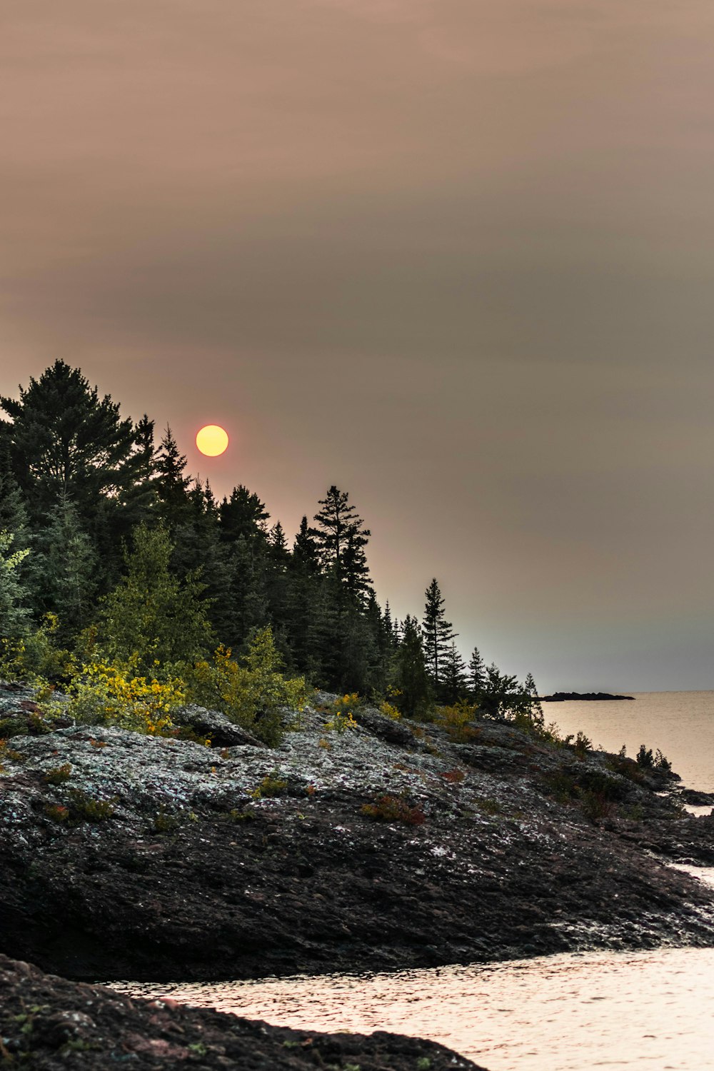 the sun is setting over the trees on the shore