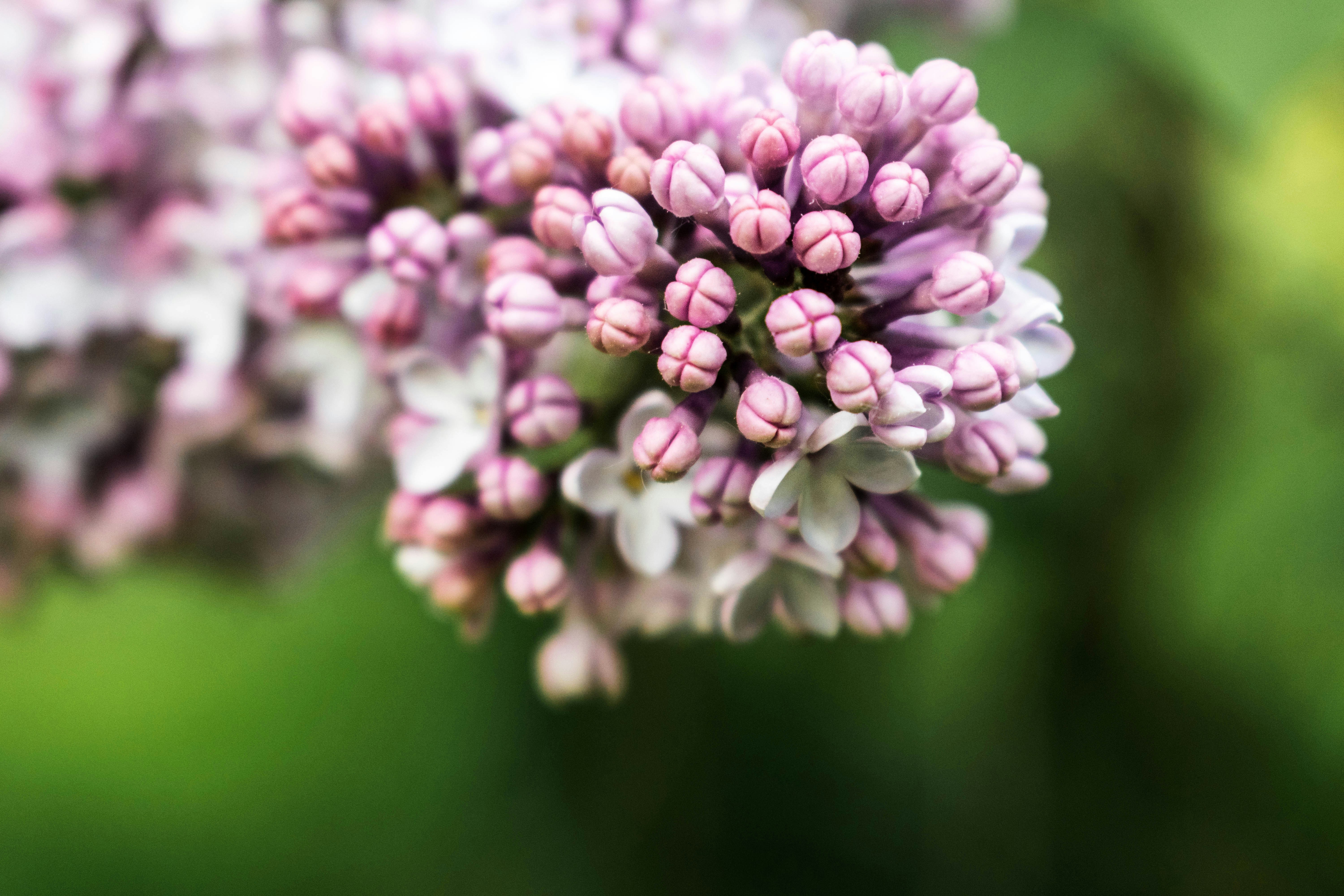 Photo by jey_photography