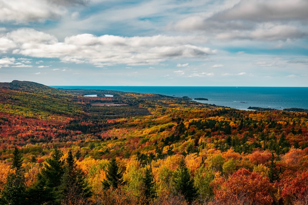 a scenic view of a lake surrounded by trees