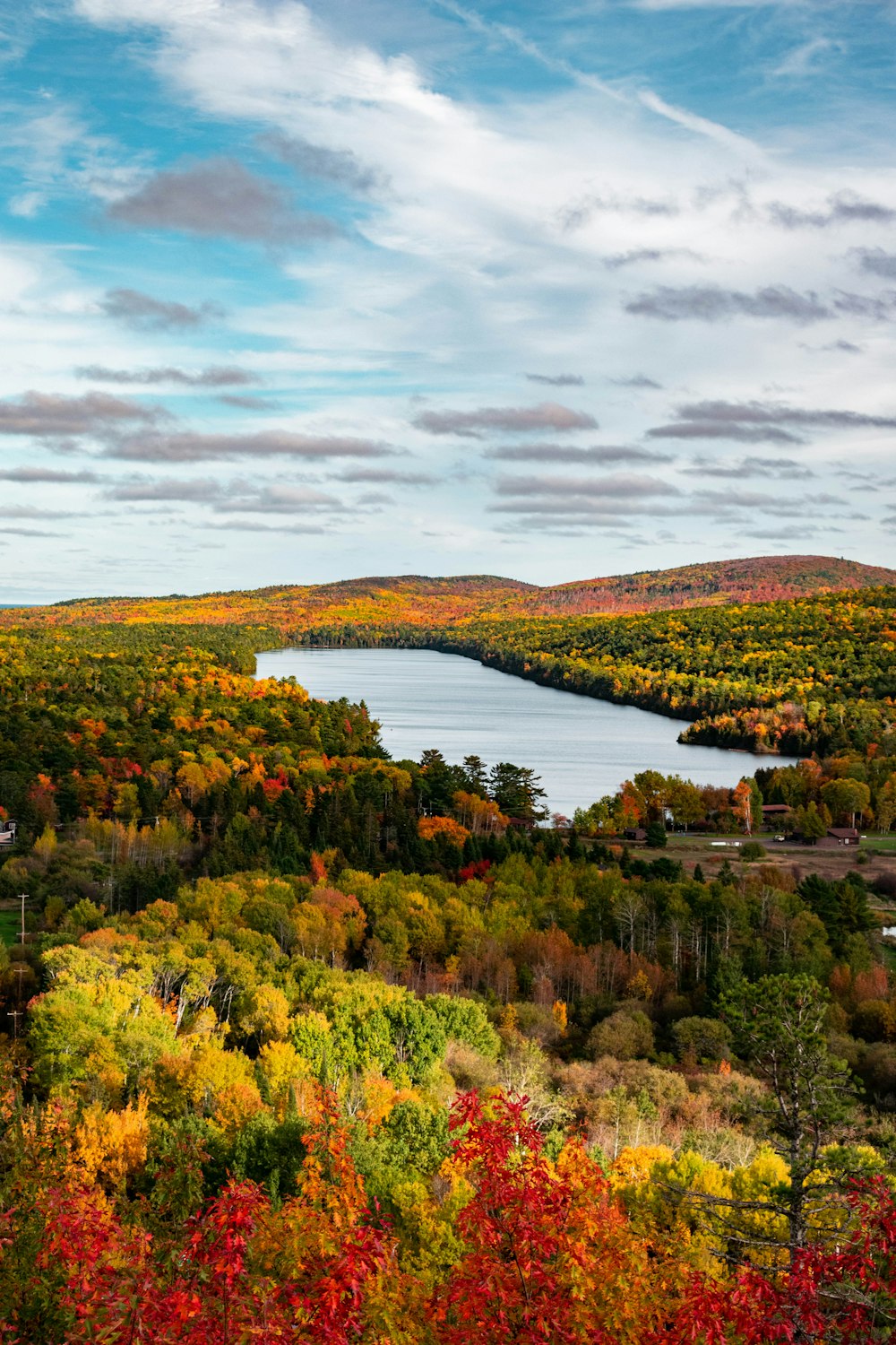 a scenic view of a lake surrounded by trees