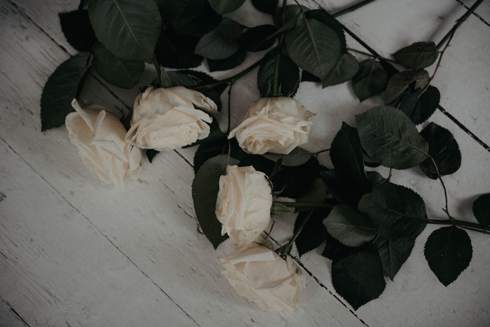 a bunch of white roses sitting on top of a wooden floor