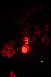 a red traffic light sitting next to a tree
