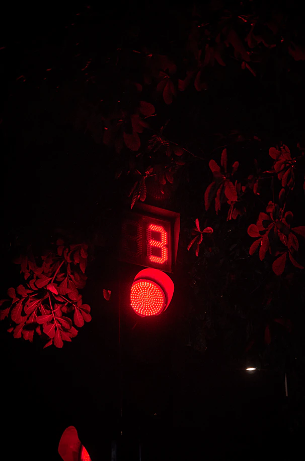 a red traffic light sitting next to a tree