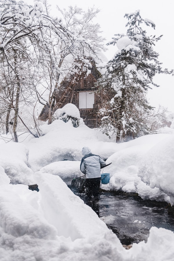 Gifu: Discover Local Culture & Traditions