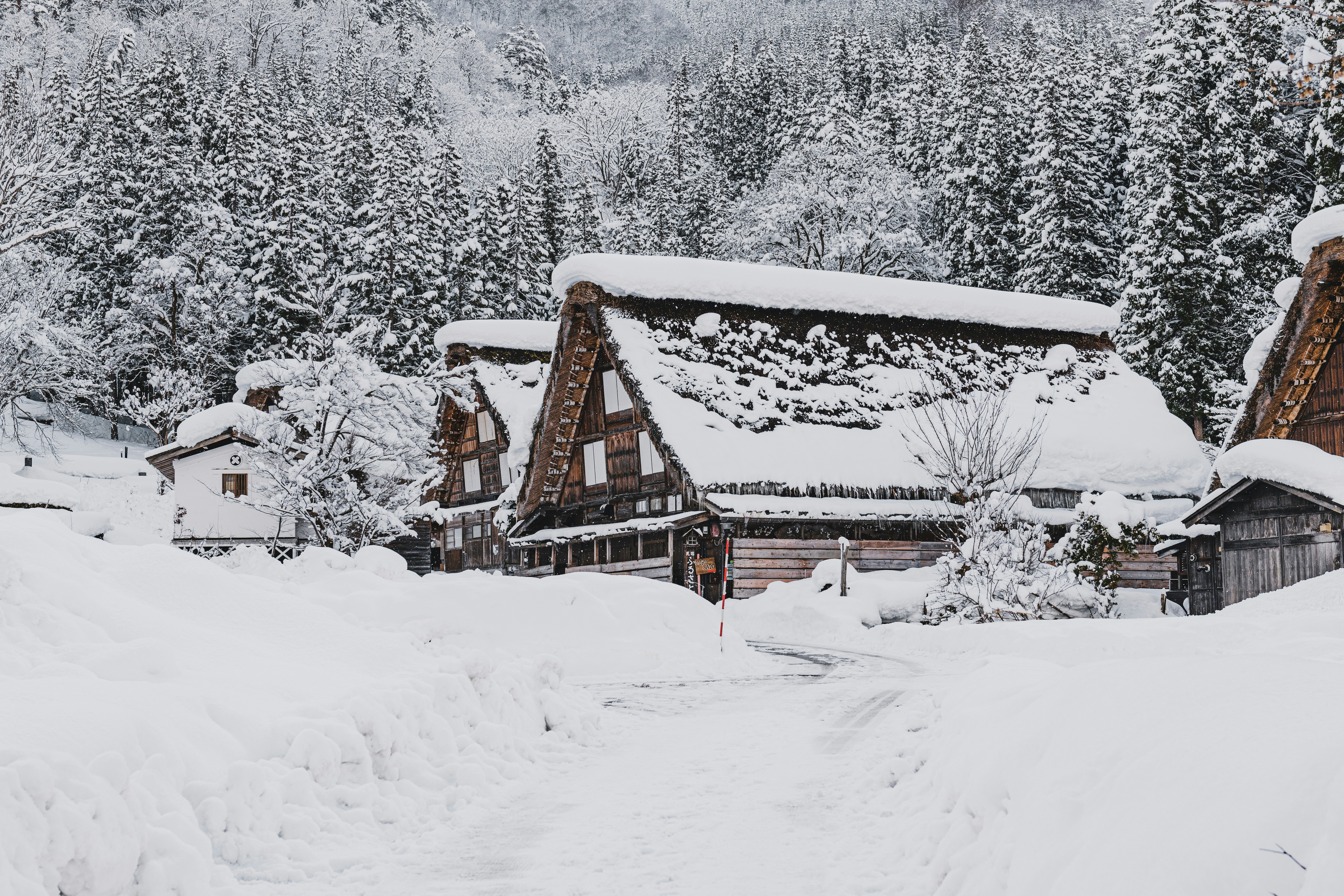 a couple of houses that are covered in snow, 
