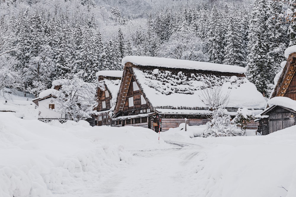 a couple of houses that are covered in snow