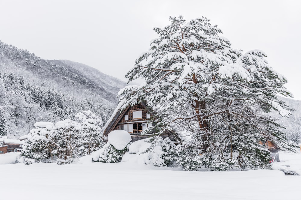 Eine Hütte mitten in einem verschneiten Wald