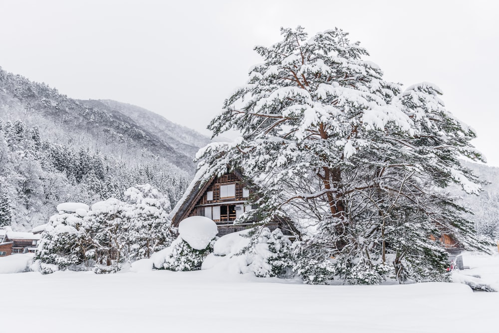 a cabin in the middle of a snowy forest