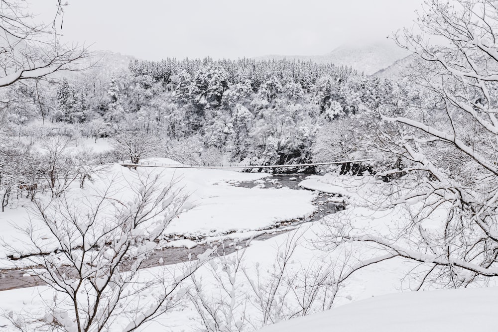 uma paisagem nevada com árvores e um rio