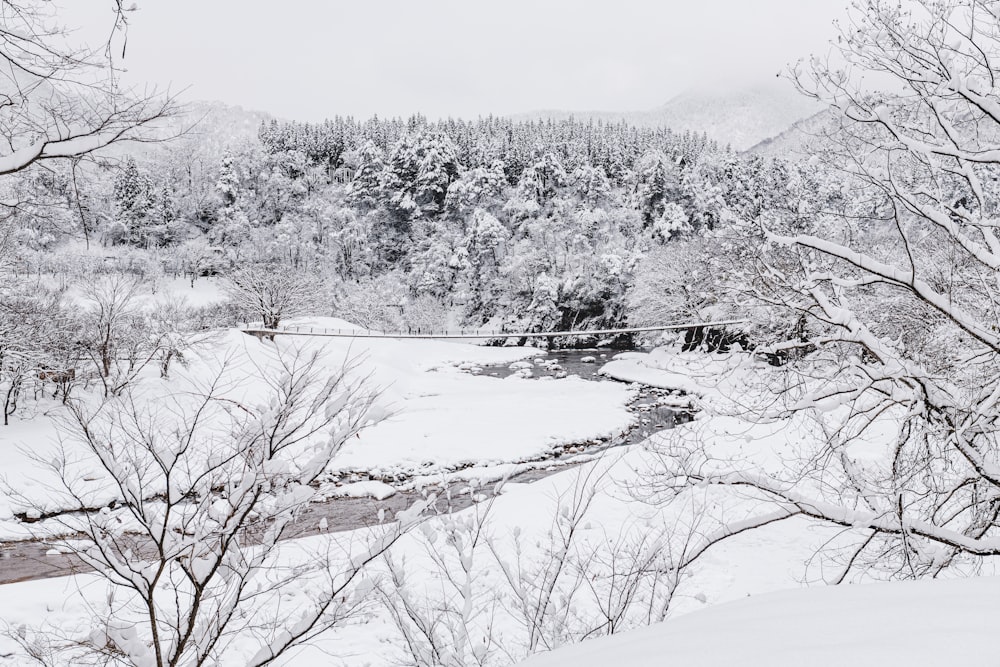 a snowy landscape with trees and a river