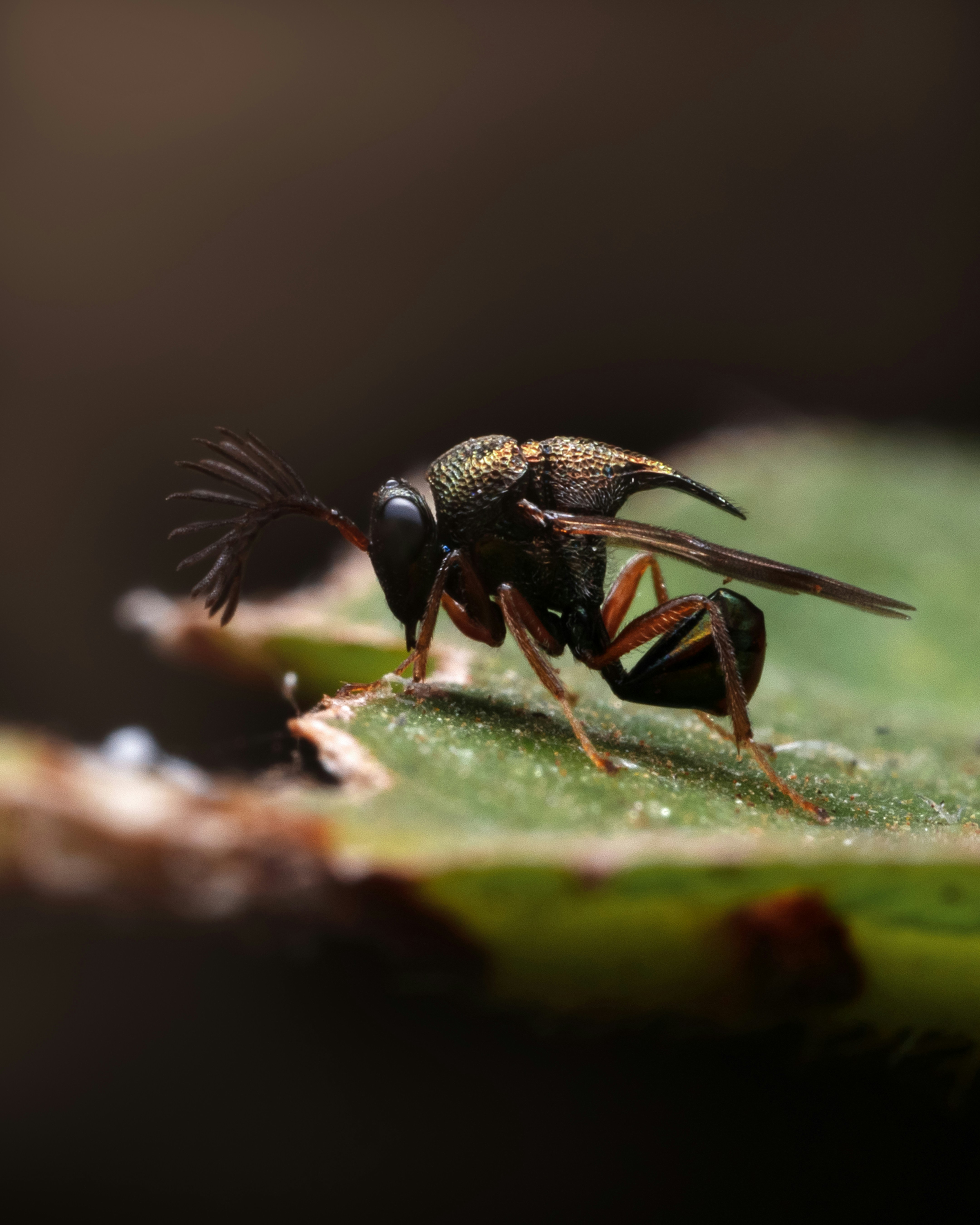 Photo by sahilmohamme841