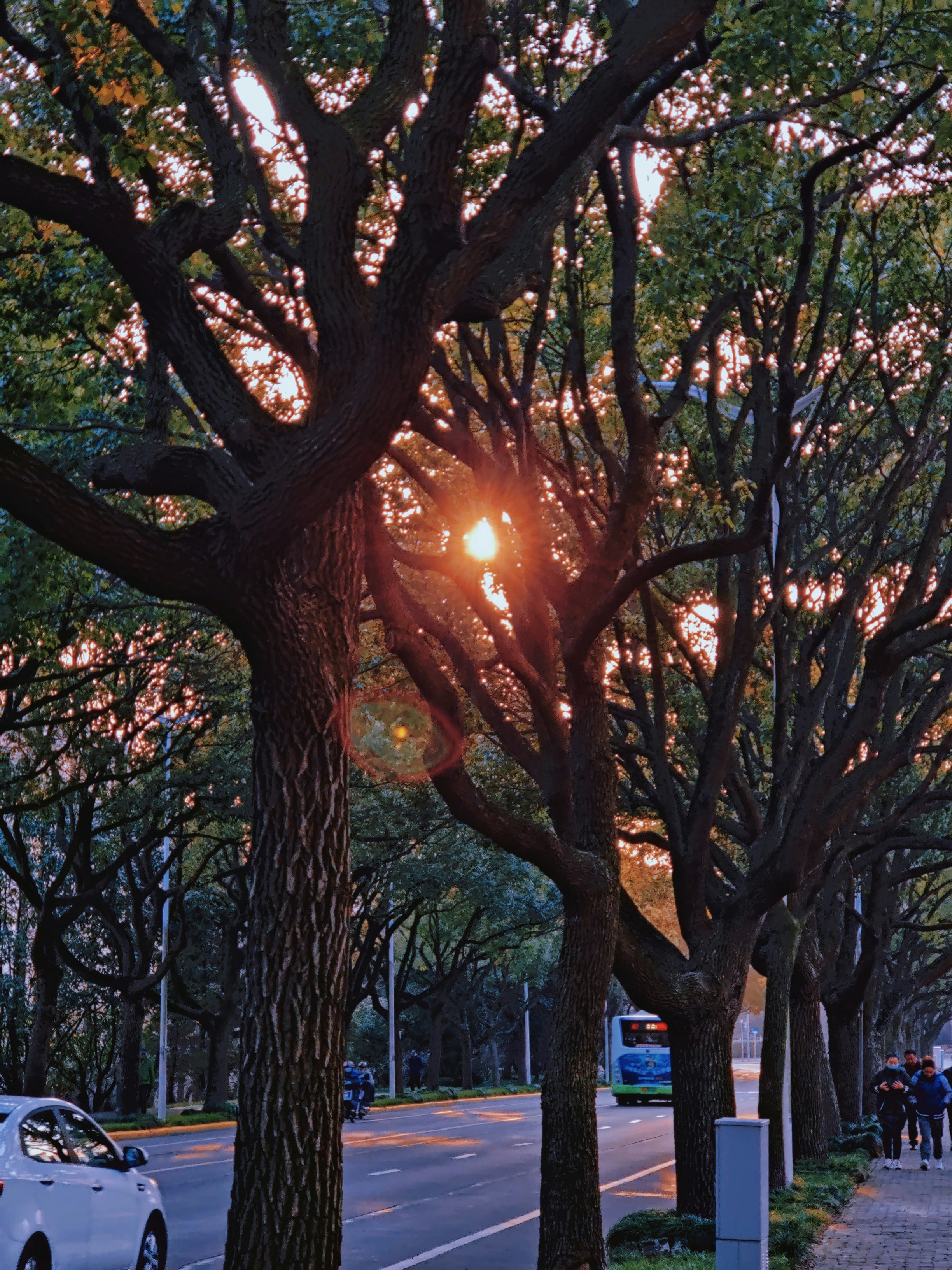 Photo by linkchen
