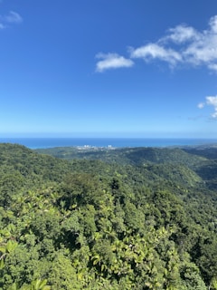 A lush expanse of forested hills stretches towards the horizon under a bright blue sky. Distant buildings are visible at the edge, where the land meets the sea, creating a contrast between nature and urban development.