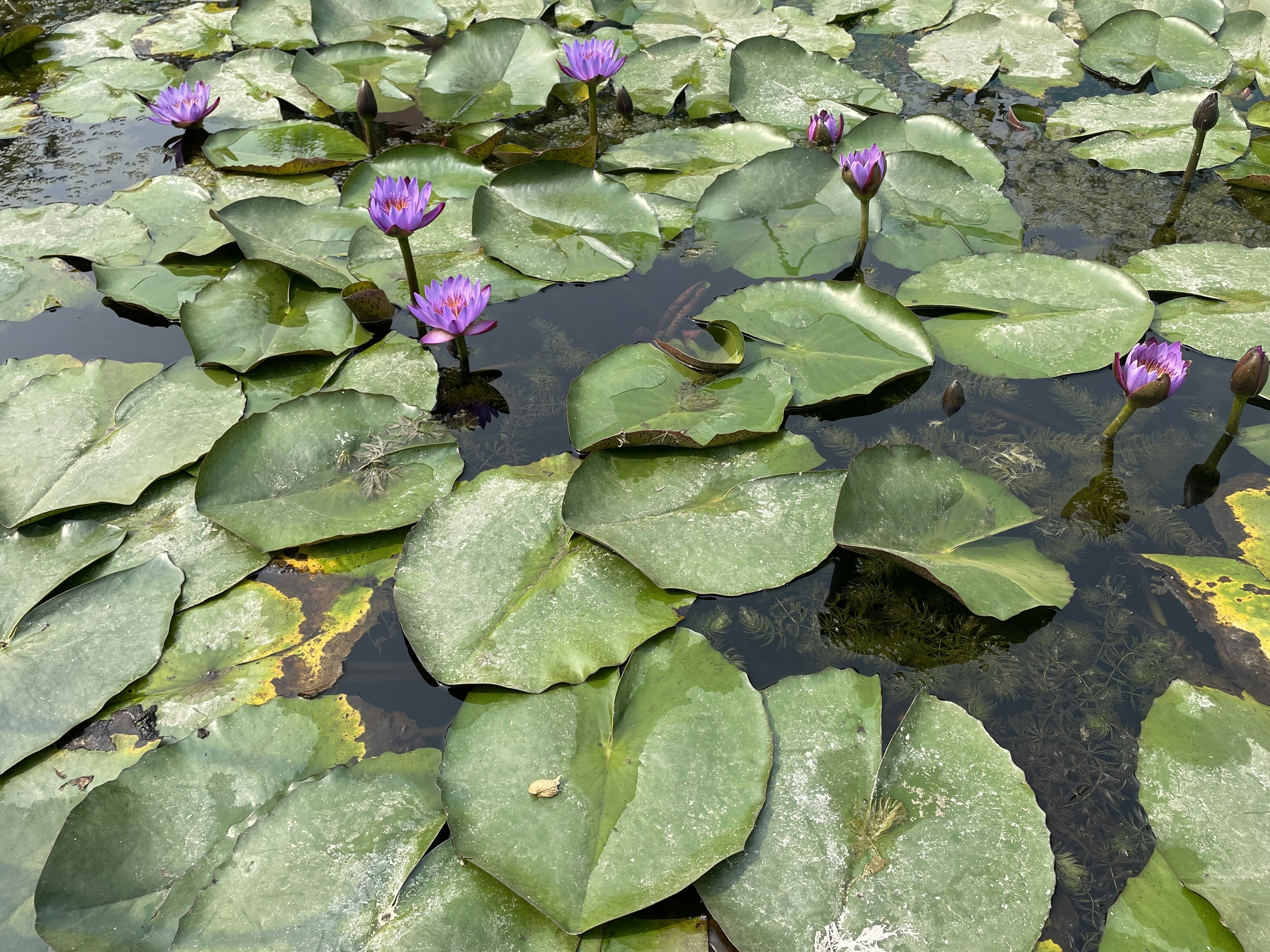 Photo by parvibansal