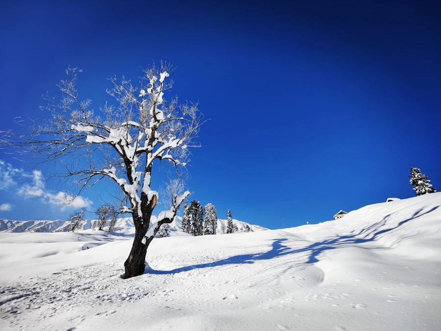 Gulmarg destination inspiration, India