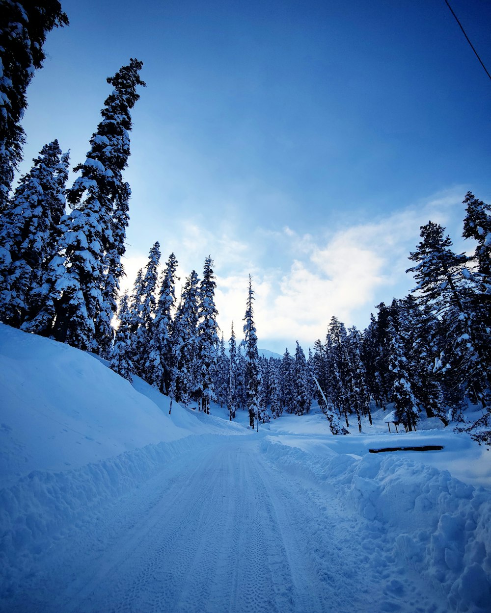 a snow covered road surrounded by trees under a blue sky