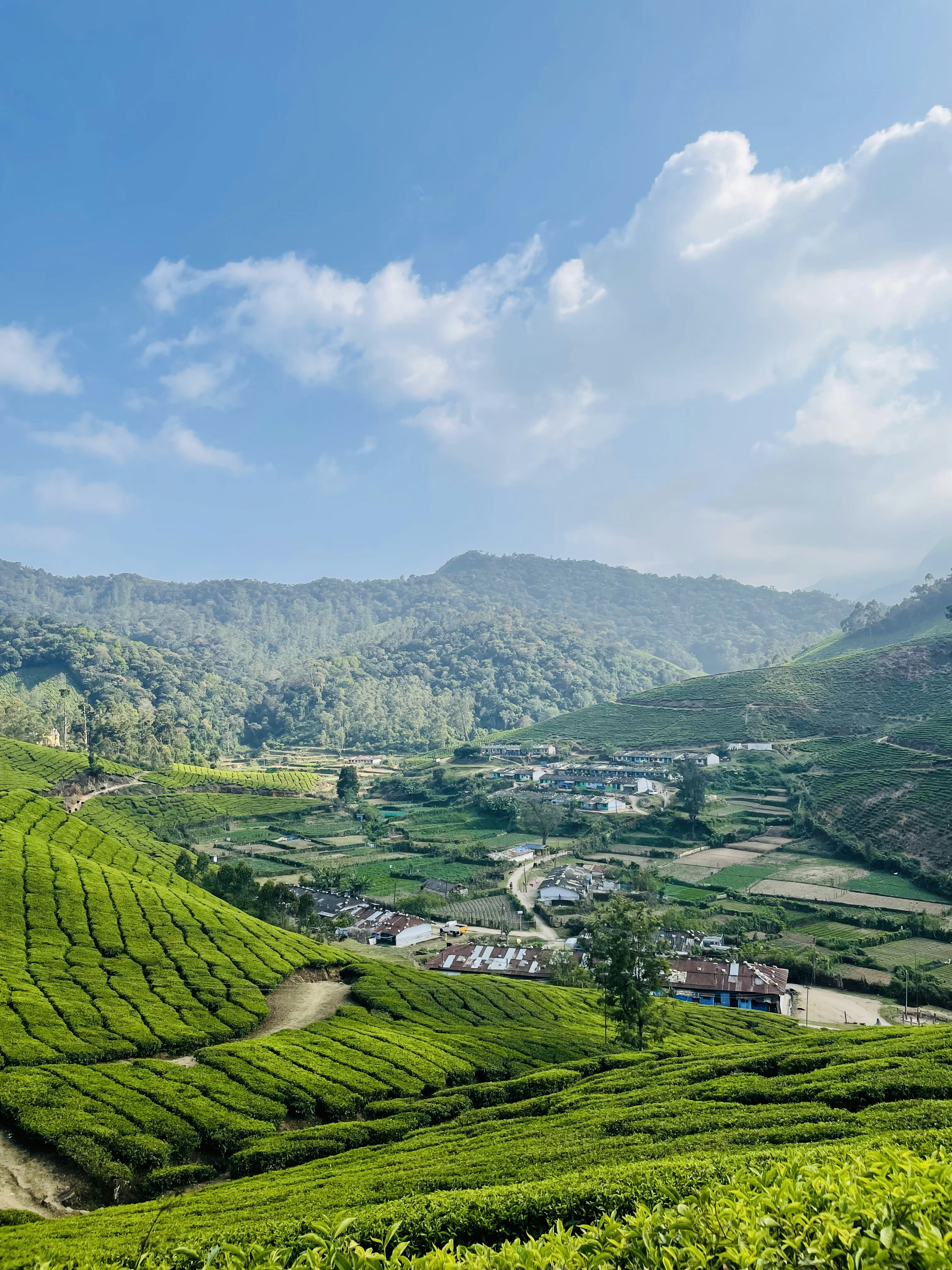 Photo by adhilbinsalam