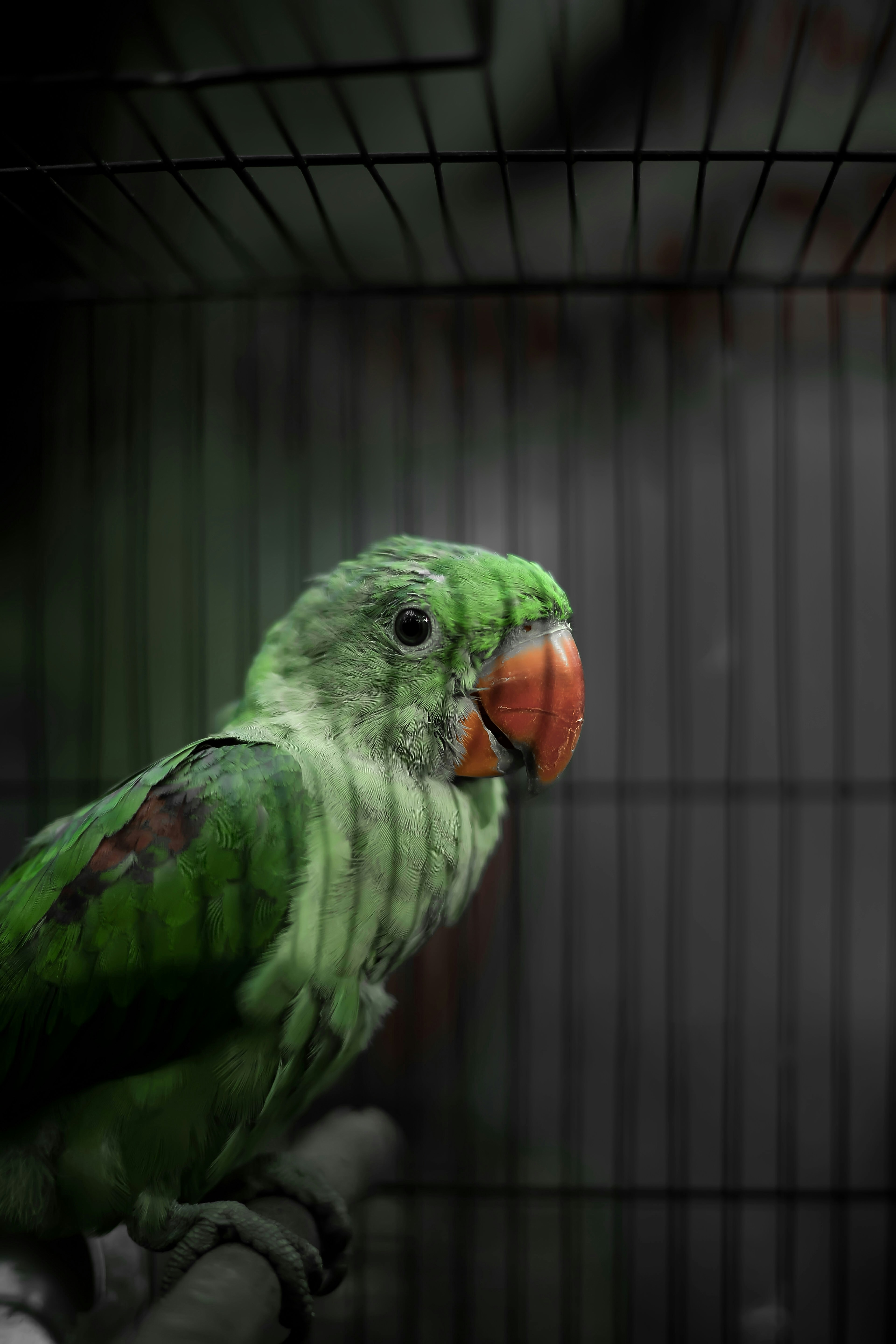 Photo by abhishek_ajith