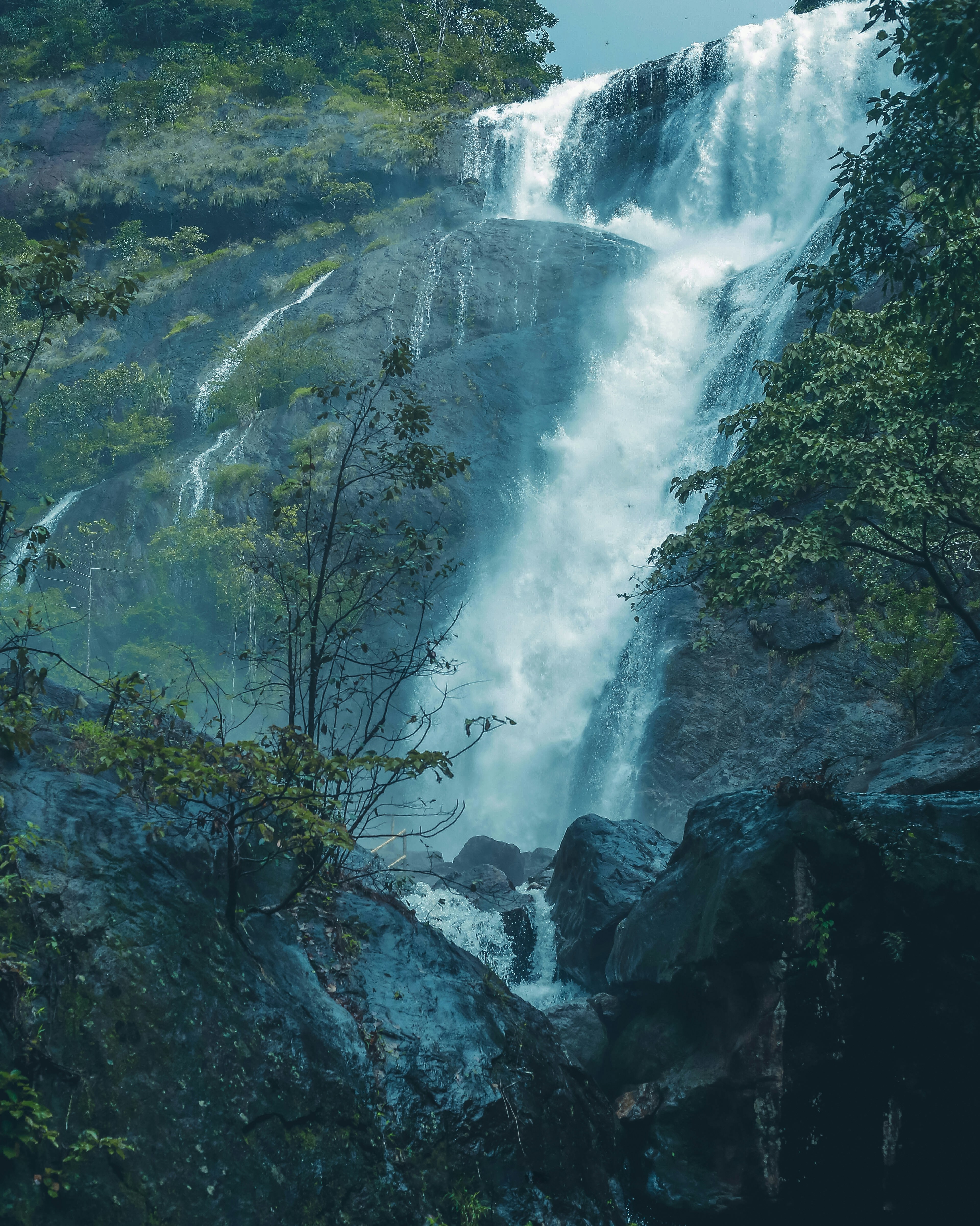 Photo by abhishek_ajith