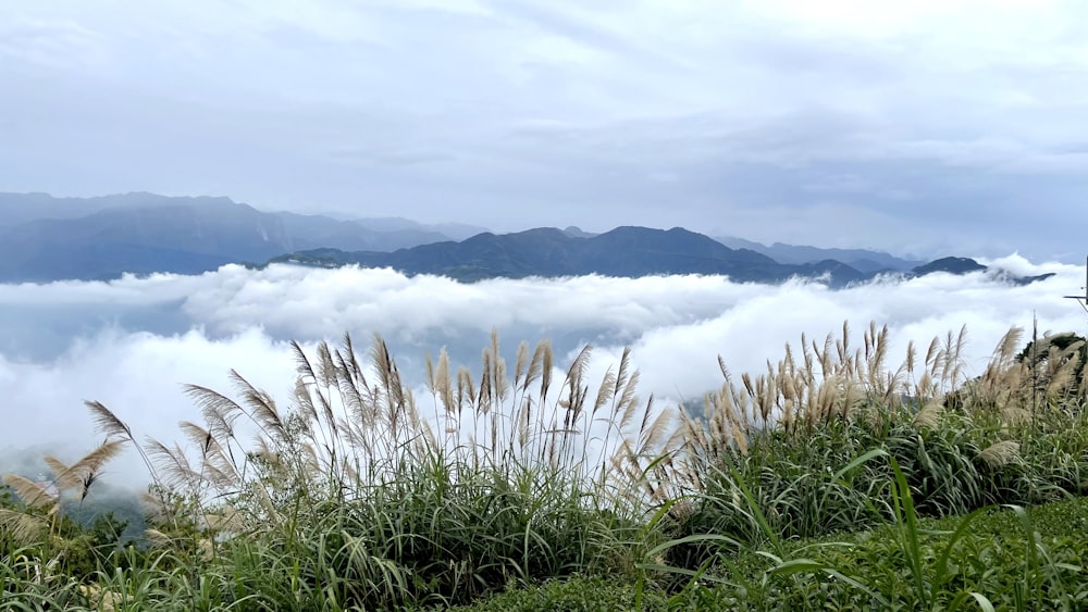 a view of the clouds and mountains from the top of a hill