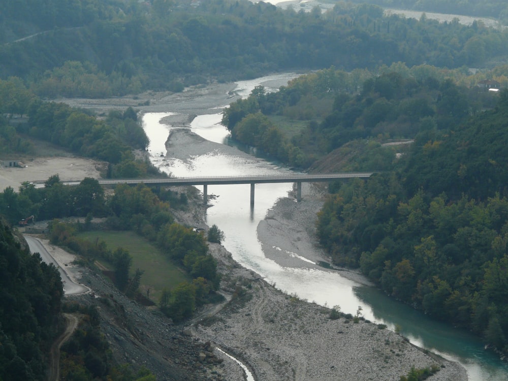 a bridge over a river in the middle of a forest