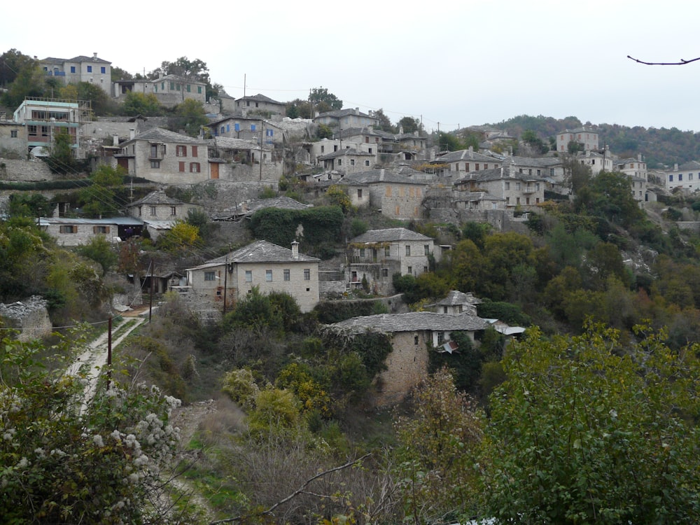 a village on a hill surrounded by trees