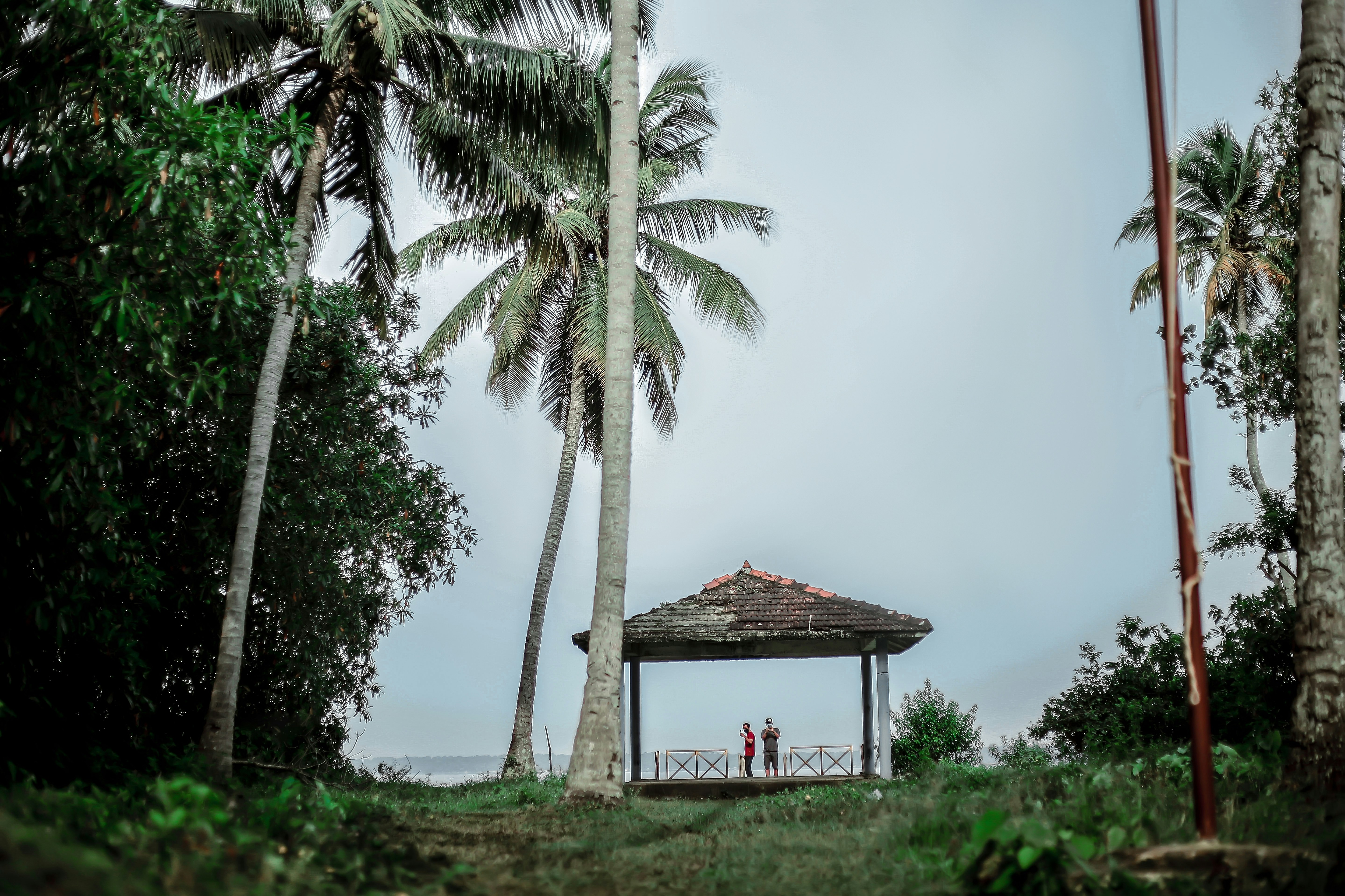 Photo by abhishek_ajith