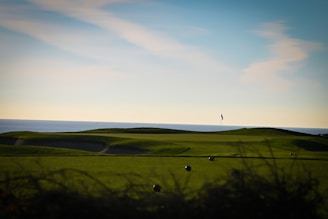 A serene golf course with a distant view of a flag on a green. The sky is clear with pastel hues, and the ocean is visible in the background, enhancing the tranquil atmosphere.