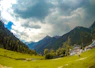 a lush green field with a house in the background