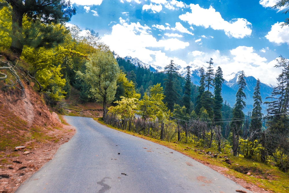 a view of a road in the middle of a forest