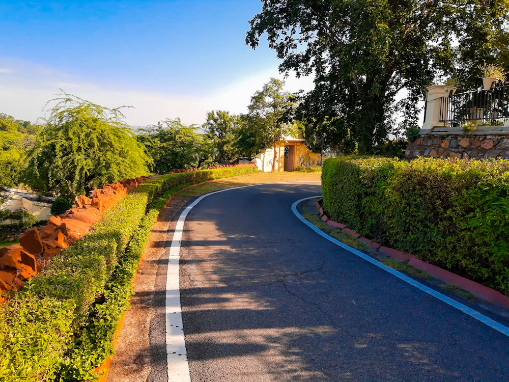 a curved road with trees and bushes on both sides