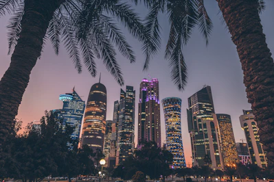 palm trees and skyscrapers in a city at night