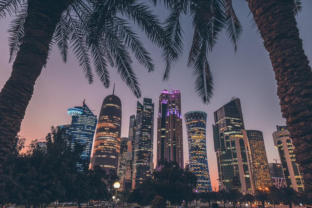 palm trees and skyscrapers in a city at night