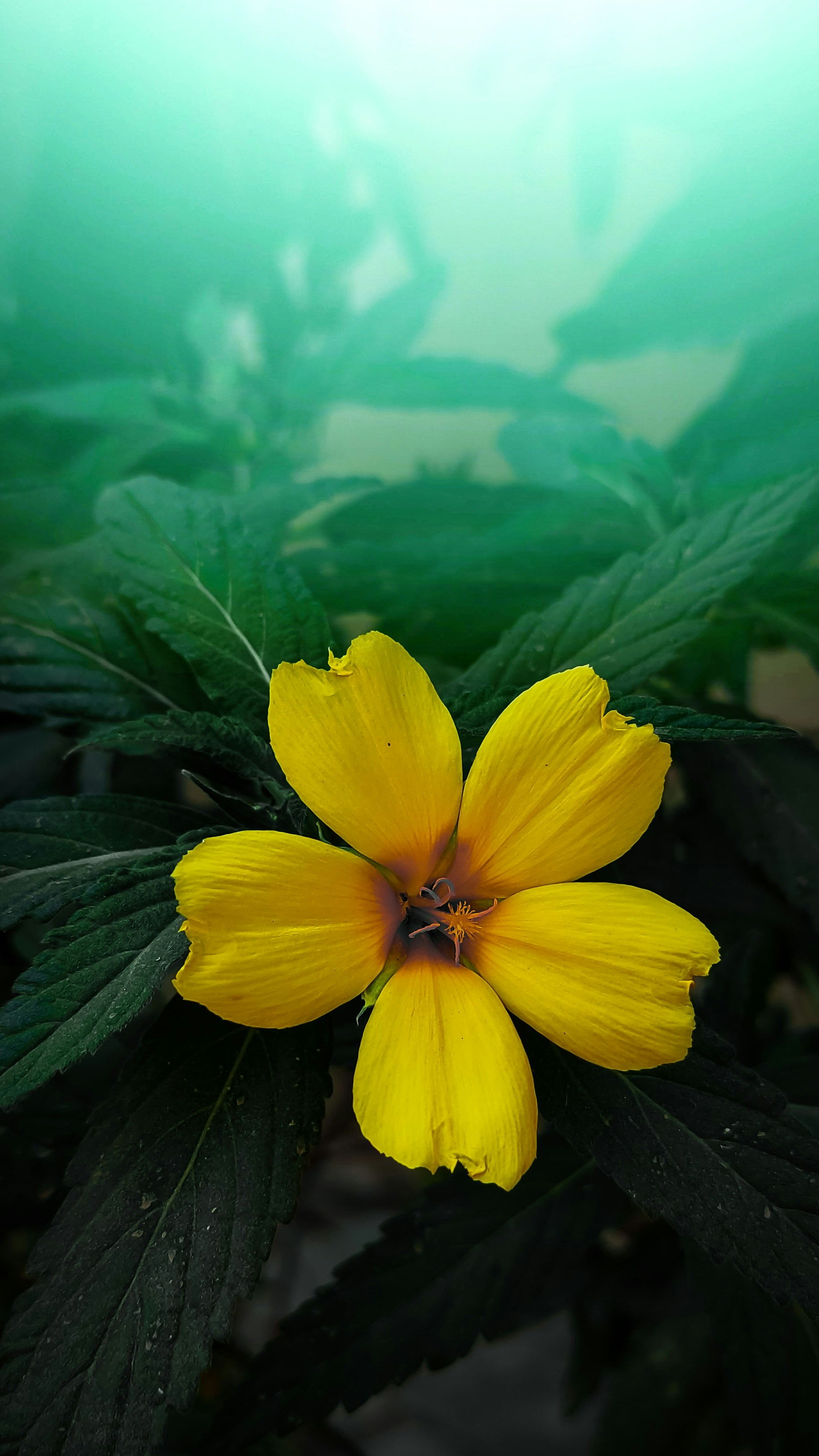 Photo by vickygraphy