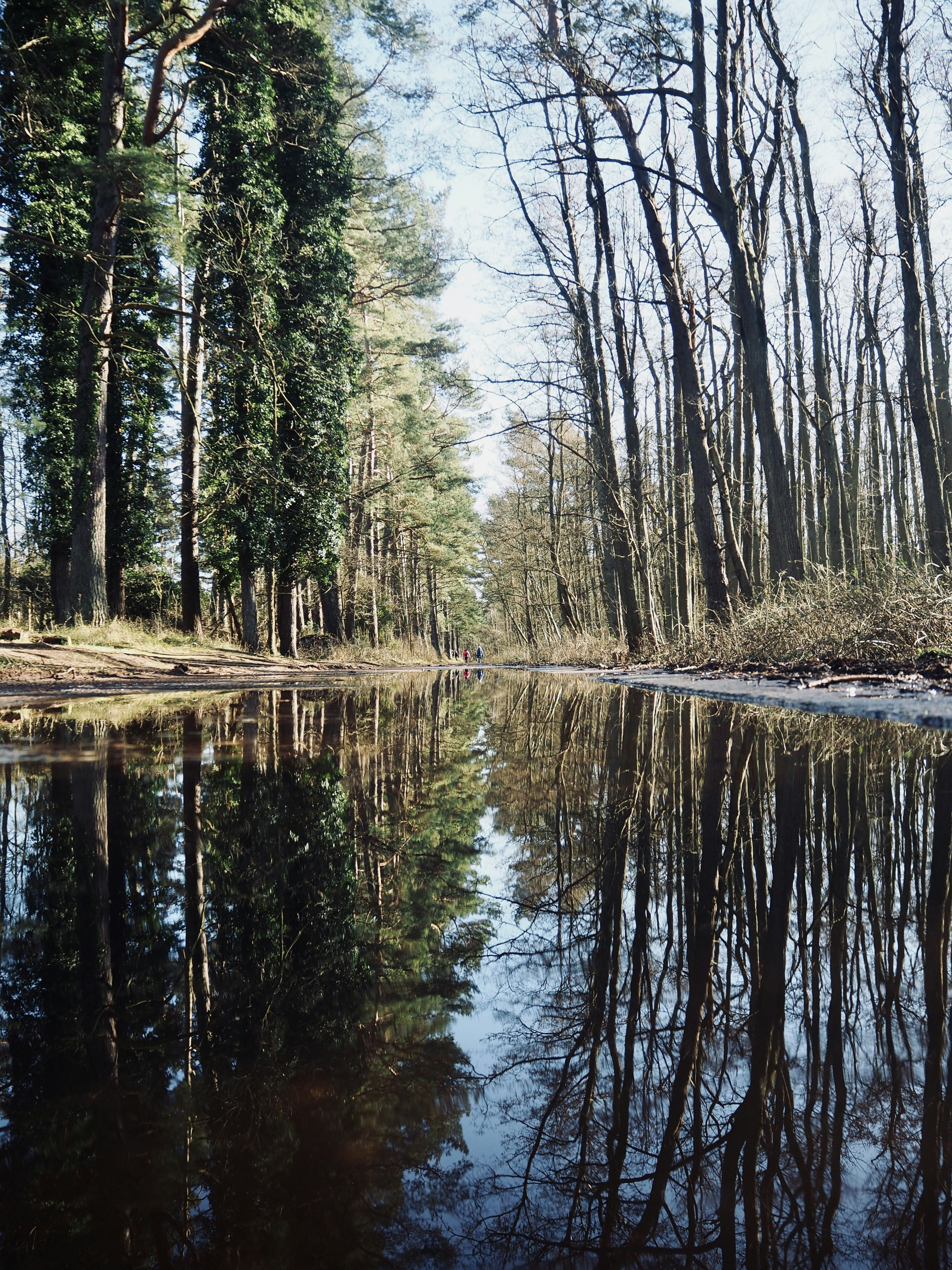 Photo by caroline_2603