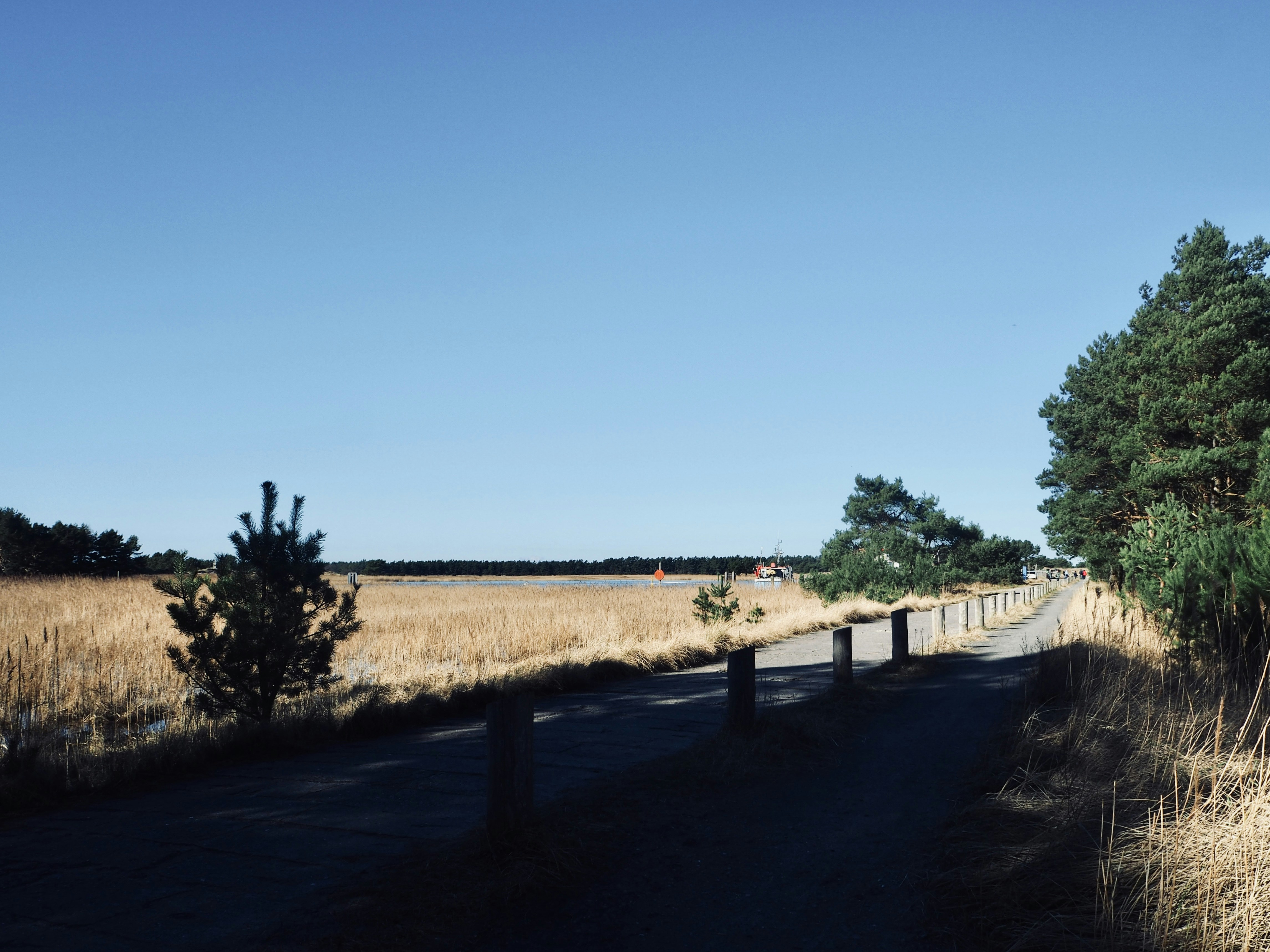 Photo by caroline_2603