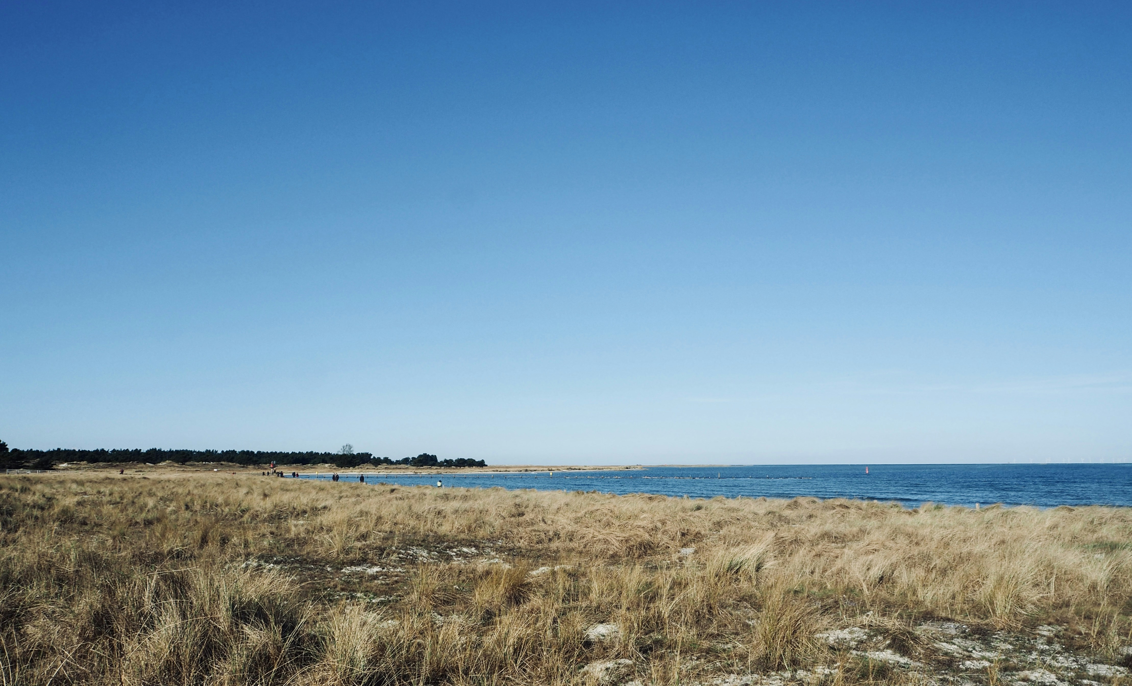 Photo by caroline_2603