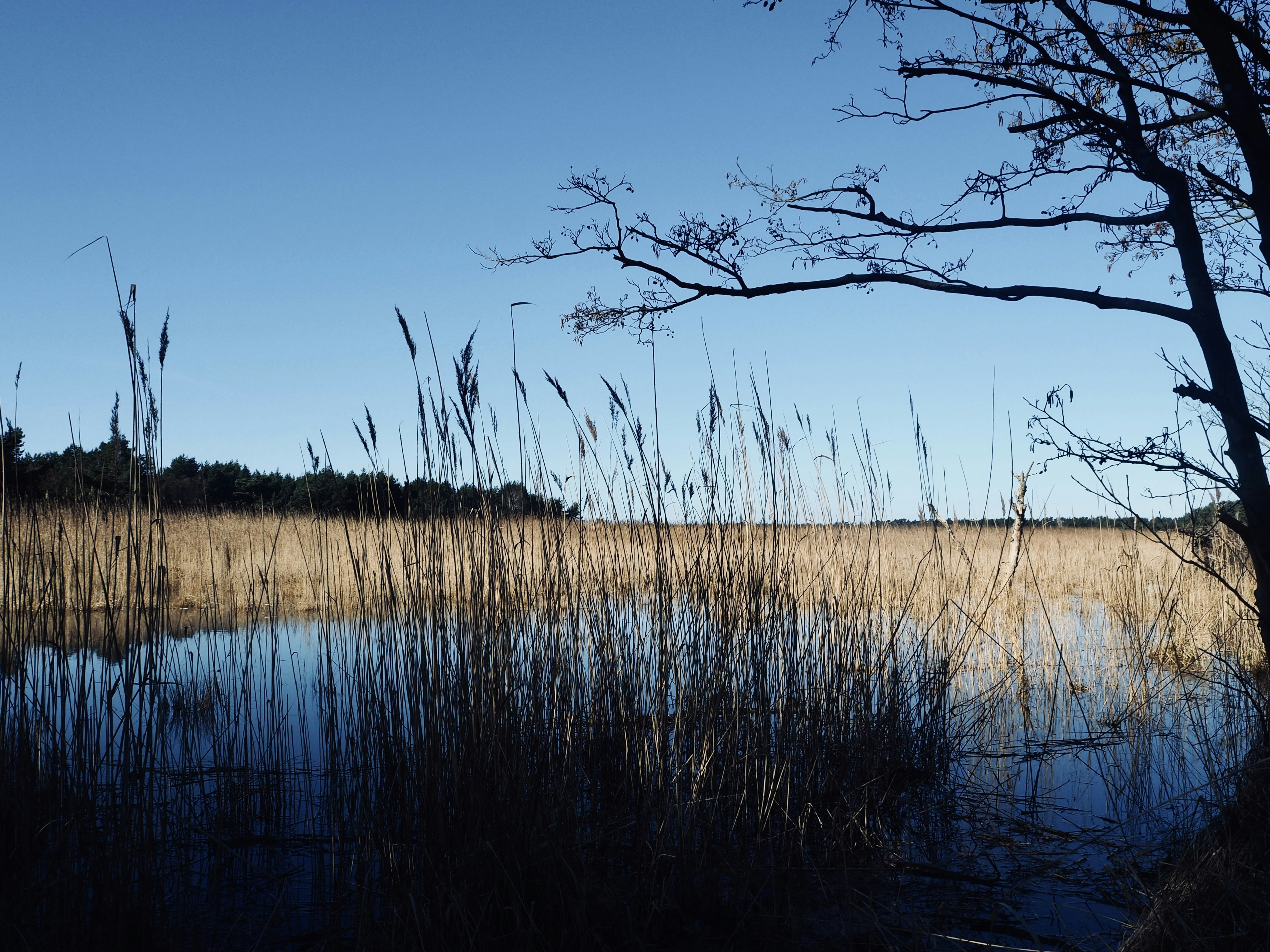 Photo by caroline_2603